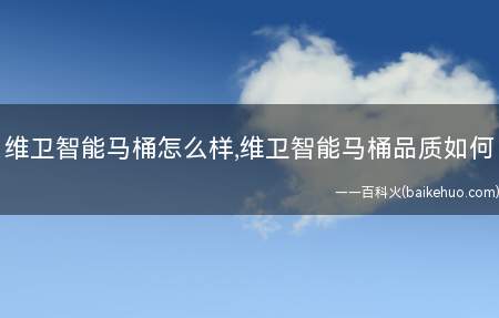 维卫智能马桶怎么样,维卫智能马桶品质如何(薇薇智能马桶的质量介绍)