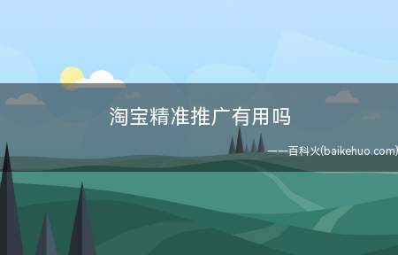 淘宝精准推广有用吗(淘宝直通车精准匹配的设置方式)