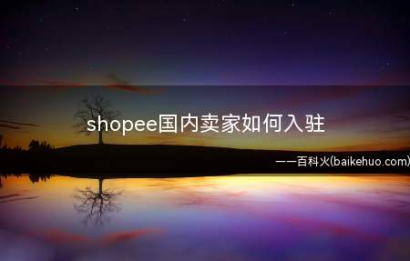 shopee国内卖家如何入驻