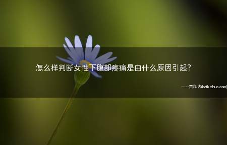怎么样判断女性下腹部疼痛是由什么原因引起?