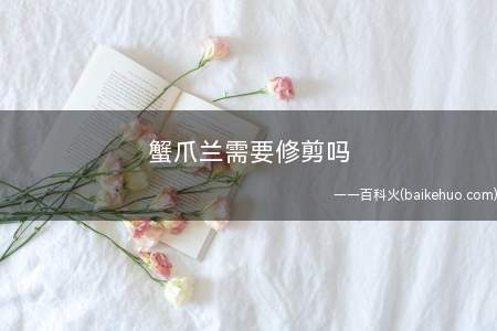 蟹爪兰需要修剪吗 蟹爪兰不开花怎么修剪