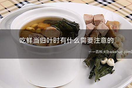 吃鲜当归叶时有什么需要注意的