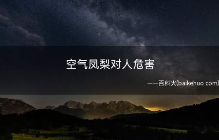 空气凤梨对人危害(空气凤梨养殖过程中特别是进入花期以后能开出美丽的花)