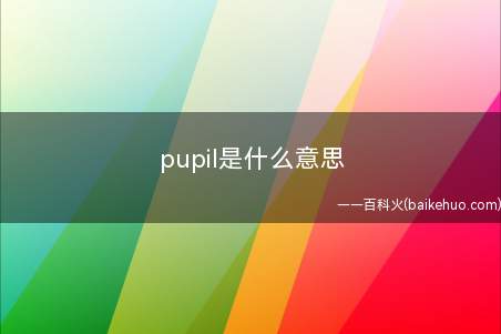 pupil是什么意思(student替代单词pupil)