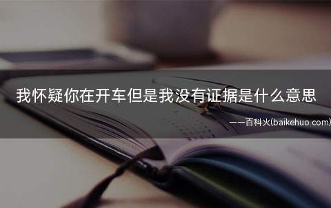 我怀疑你在开车但是我没有证据是什么梗是什么意思