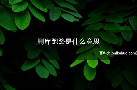 删库跑路是什么意思