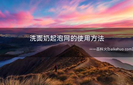 洗面奶起泡网的使用方法