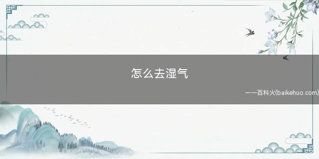 怎么去湿气(三子养亲汤)