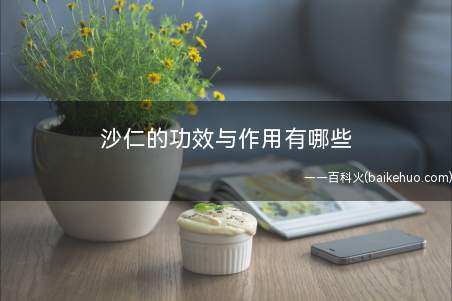 沙仁的功效与作用有哪些