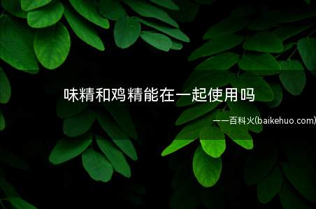 味精和鸡精能在一起使用吗