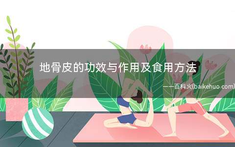 地骨皮的功效与作用及食用方法