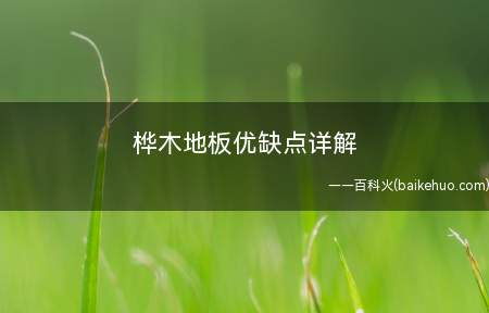 桦木地板优缺点详解(桦木地板优点)
