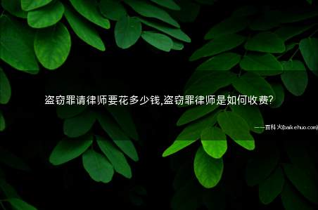 盗窃罪请律师要花多少钱,盗窃罪律师是如何收费?