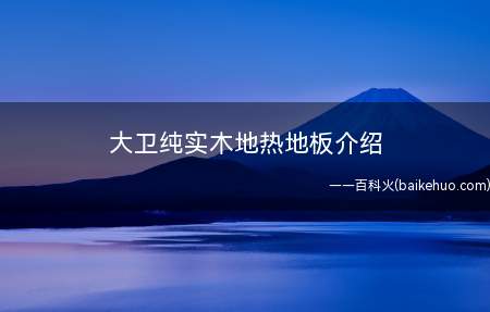 大卫纯实木地热地板介绍