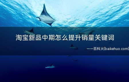 淘宝新品中期怎么提升销量关键词(新品中期怎么提升销量关键词)