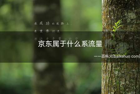 京东属于什么系流量如何与达人合作
