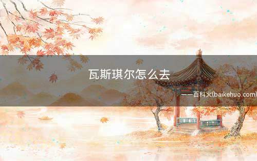 瓦斯琪尔怎么去(英雄联盟去瓦斯琪尔怎么玩)