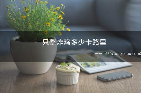 一只整炸鸡多少卡路里(经常吃炸鸡会对身体造成很大的伤害)