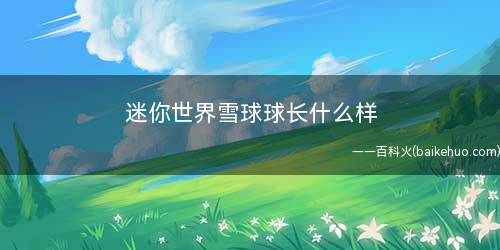 迷你世界雪球球长什么样(雪球球皮肤怎么成功兑换)