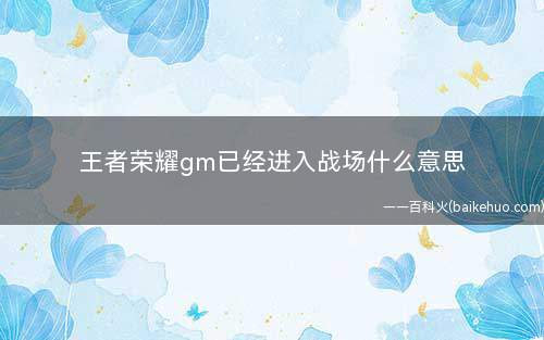 王者荣耀gm已经进入战场什么意思