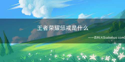 王者荣耀惩戒是什么