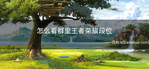 怎么看群里王者荣耀段位(王者荣耀群排行小程序怎么查看)