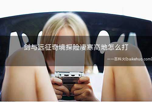 剑与远征奇境探险凄寒高地怎么打