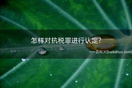 怎样对抗税罪进行认定?