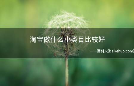 淘宝做什么小类目比较好