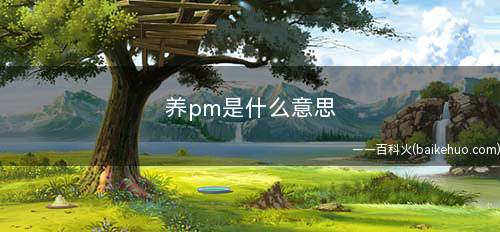 宝可梦养pm是什么意思