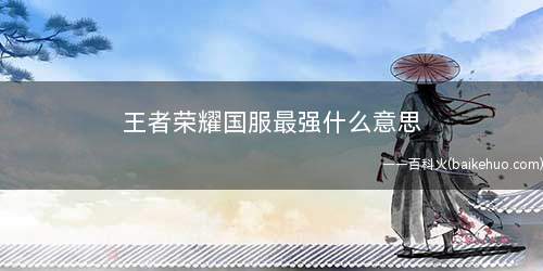 王者荣耀国服最强什么意思