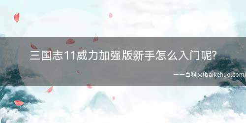 三国志11威力加强版新手怎么入门(新手如何进去把技巧值修改弄满慢慢玩)