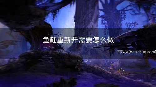 鱼缸重新开需要怎么做
