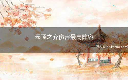 云顶之弈伤害最高阵容(云顶之弈四狂野阵容推荐)