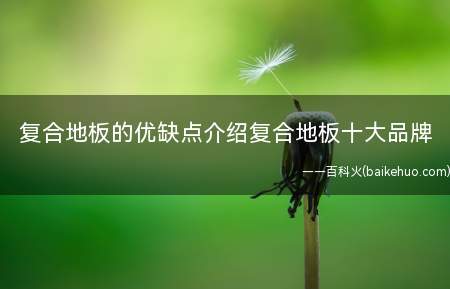 复合地板的优缺点介绍复合地板十大品牌(四川木地板十大品牌排行榜)