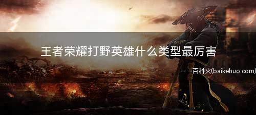 王者荣耀打野英雄什么类型最厉害