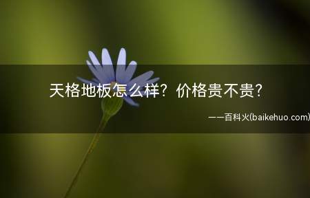 天格地板怎么样?价格贵不贵?