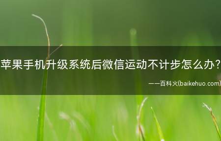 苹果手机升级系统后微信运动不计步怎么办?