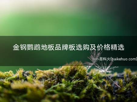 金钢鹦鹉地板品牌板选购及价格精选