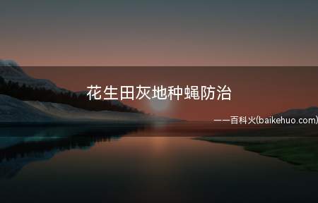 花生田灰地种蝇防治
