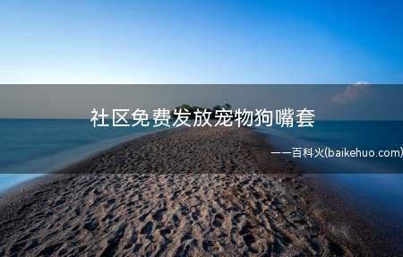 社区免费发放宠物狗嘴套 被狗咬了怎么办