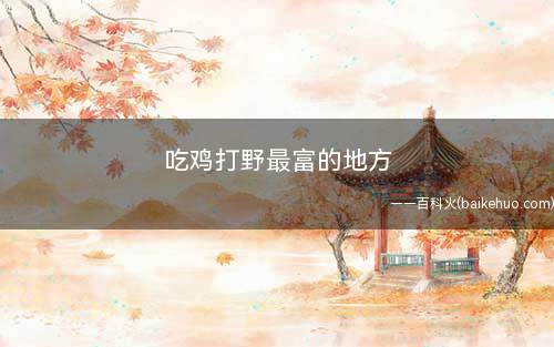 吃鸡打野最富的地方