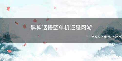 黑神话悟空单机还是网游(《黑神话:悟空》动作角色扮演游戏)