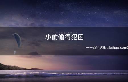 小偷偷得犯困 犯傻丢奢侈包