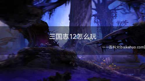 三国志12怎么玩