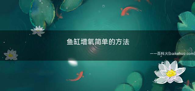 鱼缸增氧简单的方法