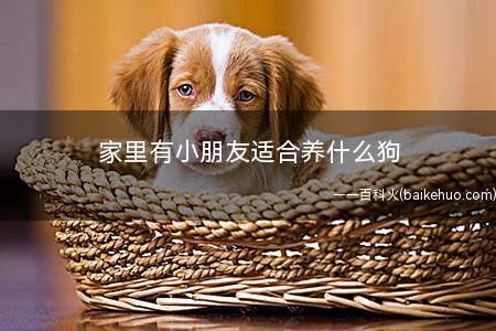 家里有小朋友适合养什么狗