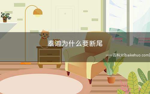 泰迪为什么要断尾