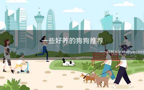 一些好养的狗狗推荐