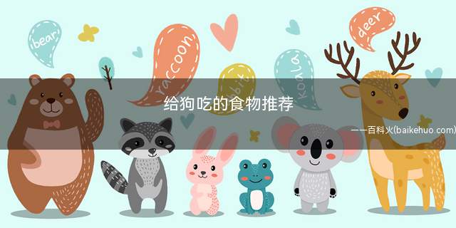 给狗吃的食物推荐